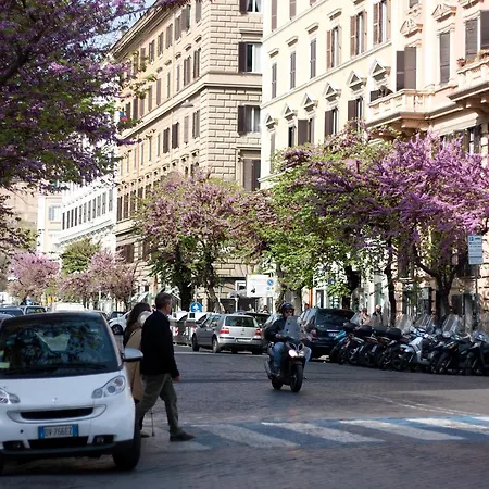 Hotel Eccelso 3*